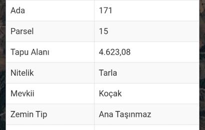 Milas-Çamköy satılık fırsat tarla