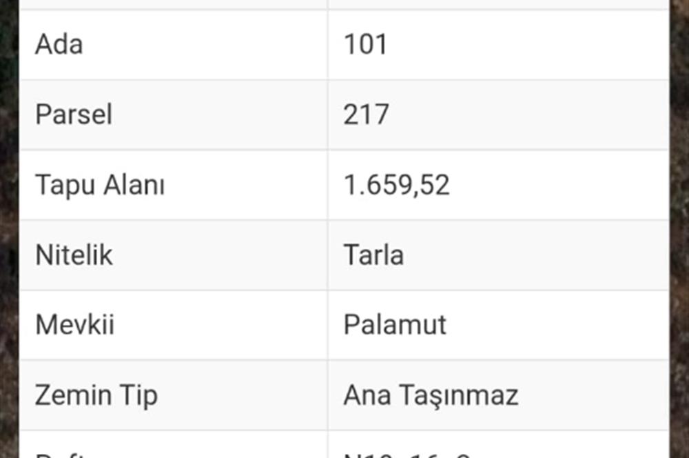 Milas-Fesleğen yaylasında satılık tarla