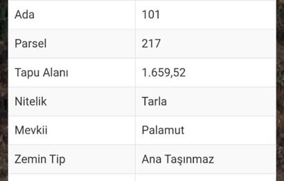 Milas-Fesleğen yaylasında satılık tarla