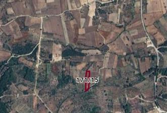 Milas-Çamköy satılık fırsat tarla