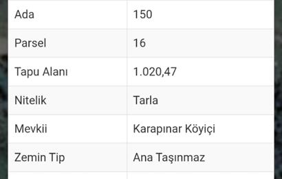 Milas-Karapınar köyiçi imarlı satılık arsa