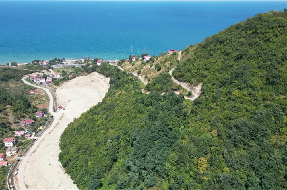 CENURY 21'DEN DİVANİ MEVKİİ'NDE 5850 m² TEK TAPU FINDIK BAHÇESİ
