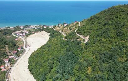CENURY 21'DEN DİVANİ MEVKİİ'NDE 5850 m² TEK TAPU FINDIK BAHÇESİ