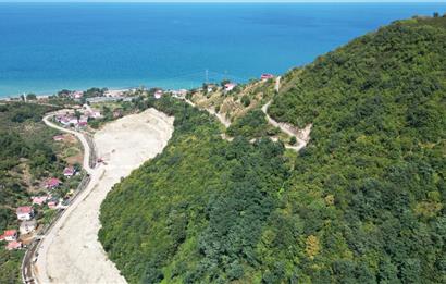 CENURY 21'DEN DİVANİ MEVKİİ'NDE 5850 m² TEK TAPU FINDIK BAHÇESİ