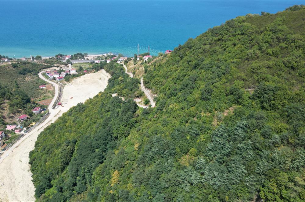 CENURY 21'DEN DİVANİ MEVKİİ'NDE 5850 m² TEK TAPU FINDIK BAHÇESİ