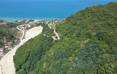CENURY 21'DEN DİVANİ MEVKİİ'NDE 5850 m² TEK TAPU FINDIK BAHÇESİ