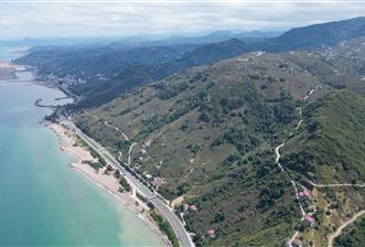 CENURY 21'DEN DİVANİ MEVKİİ'NDE 5850 m² TEK TAPU FINDIK BAHÇESİ