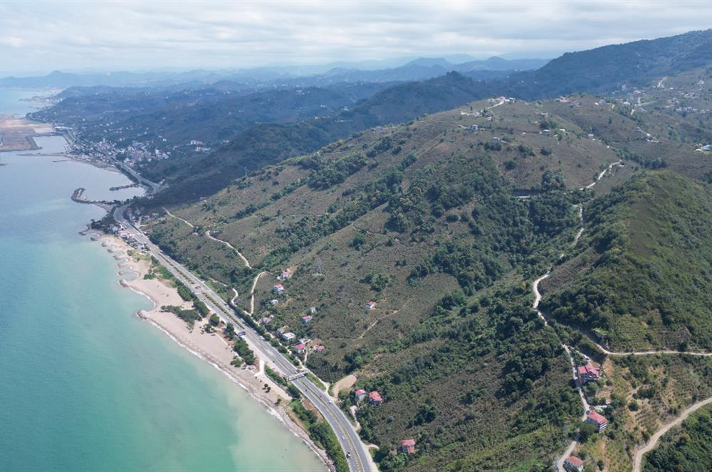 CENURY 21'DEN DİVANİ MEVKİİ'NDE 5850 m² TEK TAPU FINDIK BAHÇESİ