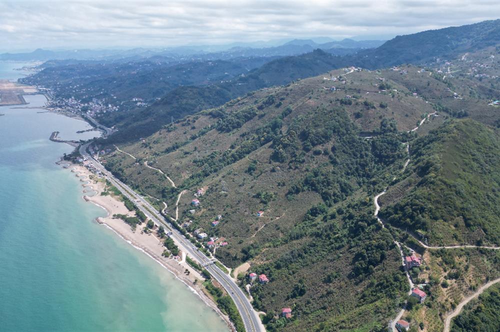 CENURY 21'DEN DİVANİ MEVKİİ'NDE 5850 m² TEK TAPU FINDIK BAHÇESİ