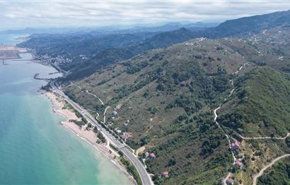 CENURY 21'DEN DİVANİ MEVKİİ'NDE 5850 m² TEK TAPU FINDIK BAHÇESİ