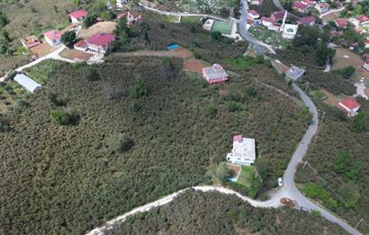 CENURY 21'DEN DİVANİ MEVKİİ'NDE 5850 m² TEK TAPU FINDIK BAHÇESİ