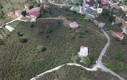 CENURY 21'DEN DİVANİ MEVKİİ'NDE 5850 m² TEK TAPU FINDIK BAHÇESİ