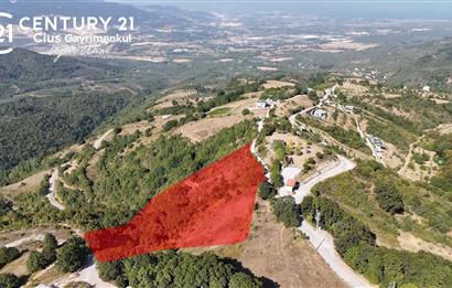 C21Cius: Güvenli'de 6 Ayrı Satılık Müstakil Tapulu Araziler