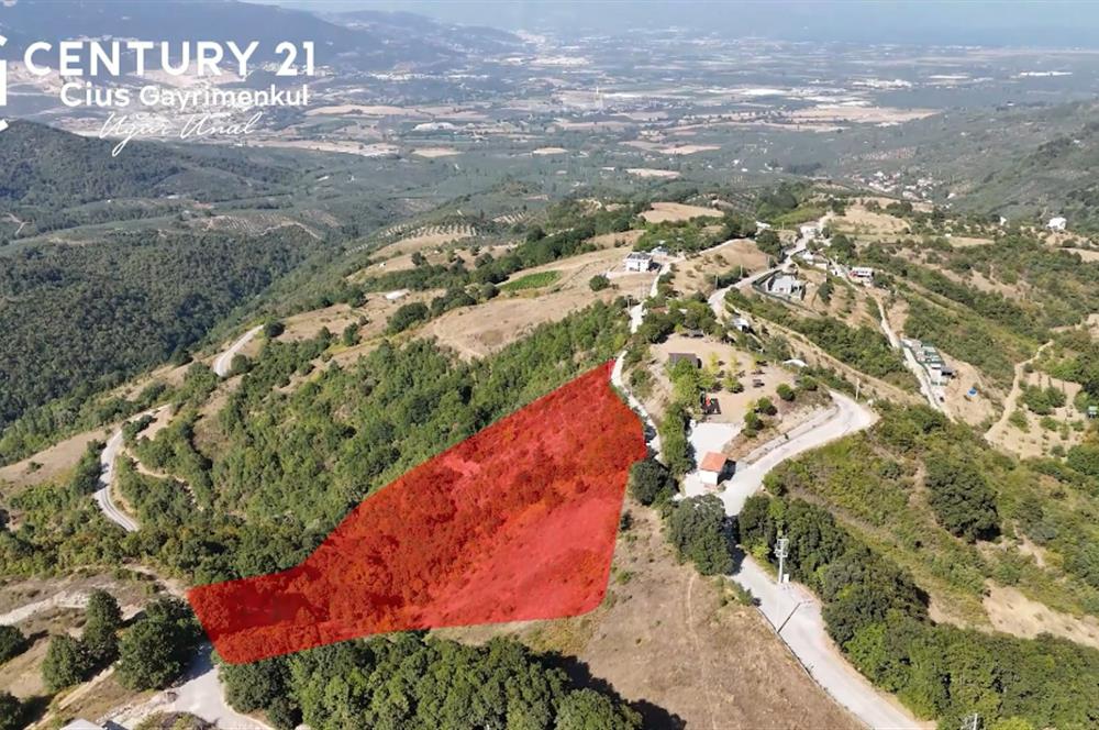C21Cius: Güvenli'de 6 Ayrı Satılık Müstakil Tapulu Araziler