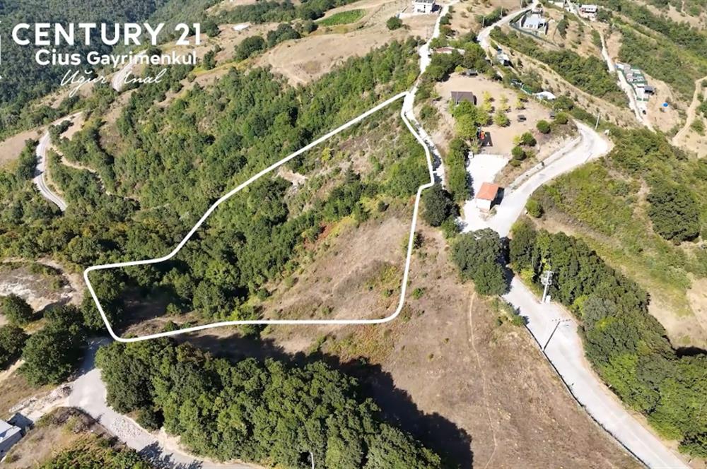 C21Cius: Güvenli'de 6 Ayrı Satılık Müstakil Tapulu Araziler