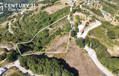C21Cius: Güvenli'de 6 Ayrı Satılık Müstakil Tapulu Araziler