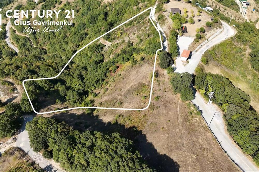 C21Cius: Güvenli'de 6 Ayrı Satılık Müstakil Tapulu Araziler