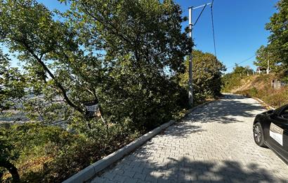 C21Cius: Güvenli'de 6 Ayrı Satılık Müstakil Tapulu Araziler