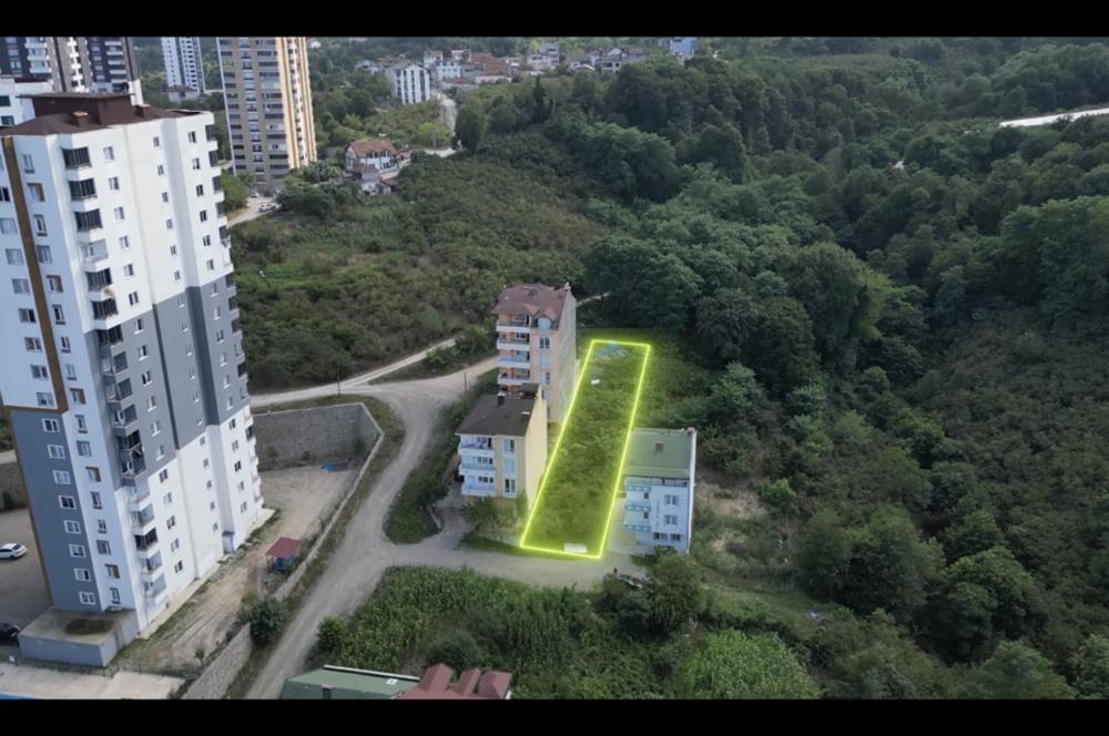 CENTURY21'DEN ORDU FATSA EVKAF MAHALLESİ'NDE 520 m²