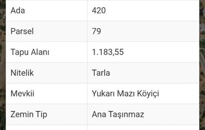 Bodrum-Mazı yatırımlık satılık arsa