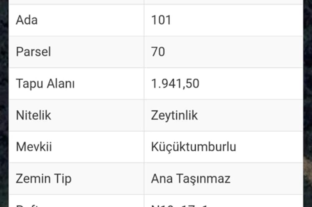 Milas-Fesleğen yaylasında satılık fırsat tarla
