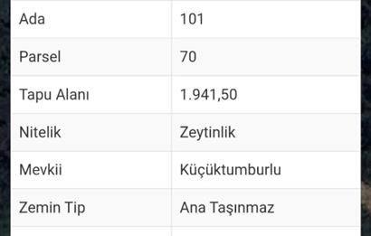 Milas-Fesleğen yaylasında satılık fırsat tarla