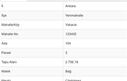 YENİMAHALLE YAKACIK'TA 2756 m² SATILIK BAĞ YERİ