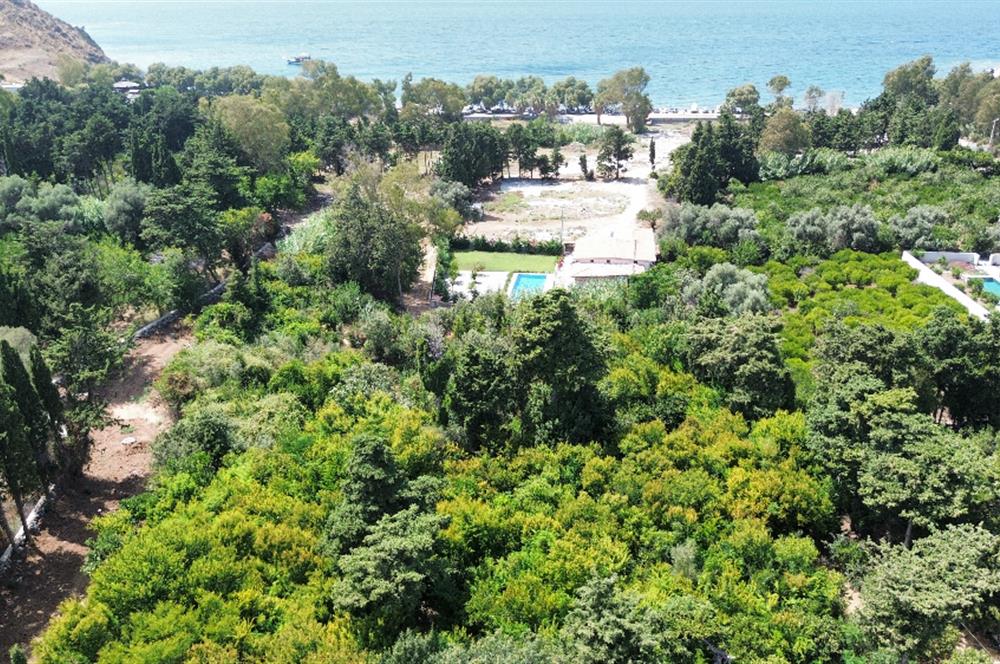 Gümüşlükte Denize 220m Mesafede Denize 2.Parsel Yüksek Prim Potansiyelli 4.746 m2 İmarlı Arsa