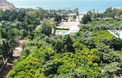 Gümüşlükte Denize 220m Mesafede Denize 2.Parsel Yüksek Prim Potansiyelli 4.746 m2 İmarlı Arsa