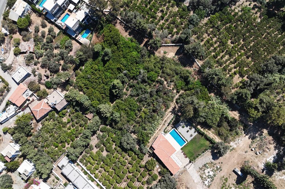 Gümüşlükte Denize 220m Mesafede Denize 2.Parsel Yüksek Prim Potansiyelli 4.746 m2 İmarlı Arsa