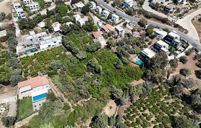 Gümüşlükte Denize 220m Mesafede Denize 2.Parsel Yüksek Prim Potansiyelli 4.746 m2 İmarlı Arsa