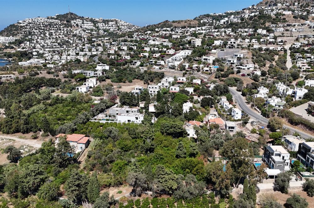 Gümüşlükte Denize 220m Mesafede Denize 2.Parsel Yüksek Prim Potansiyelli 4.746 m2 İmarlı Arsa