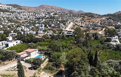 Gümüşlükte Denize 220m Mesafede Denize 2.Parsel Yüksek Prim Potansiyelli 4.746 m2 İmarlı Arsa