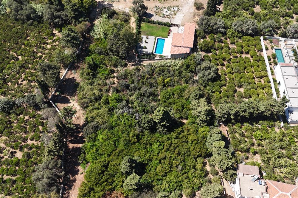 Gümüşlükte Denize 220m Mesafede Denize 2.Parsel Yüksek Prim Potansiyelli 4.746 m2 İmarlı Arsa