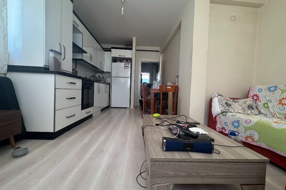 🌊 Ordu Akyazı Rus Pazarı Mevkii’nde, Merkeze ve Denize Yakın 1+1 65 m² Satılık Daire