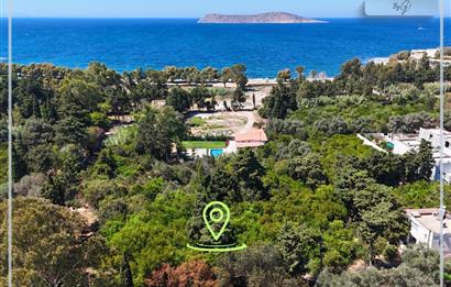 Gümüşlükte Denize 220m Mesafede Denize 2.Parsel Yüksek Prim Potansiyelli 4.746 m2 İmarlı Arsa
