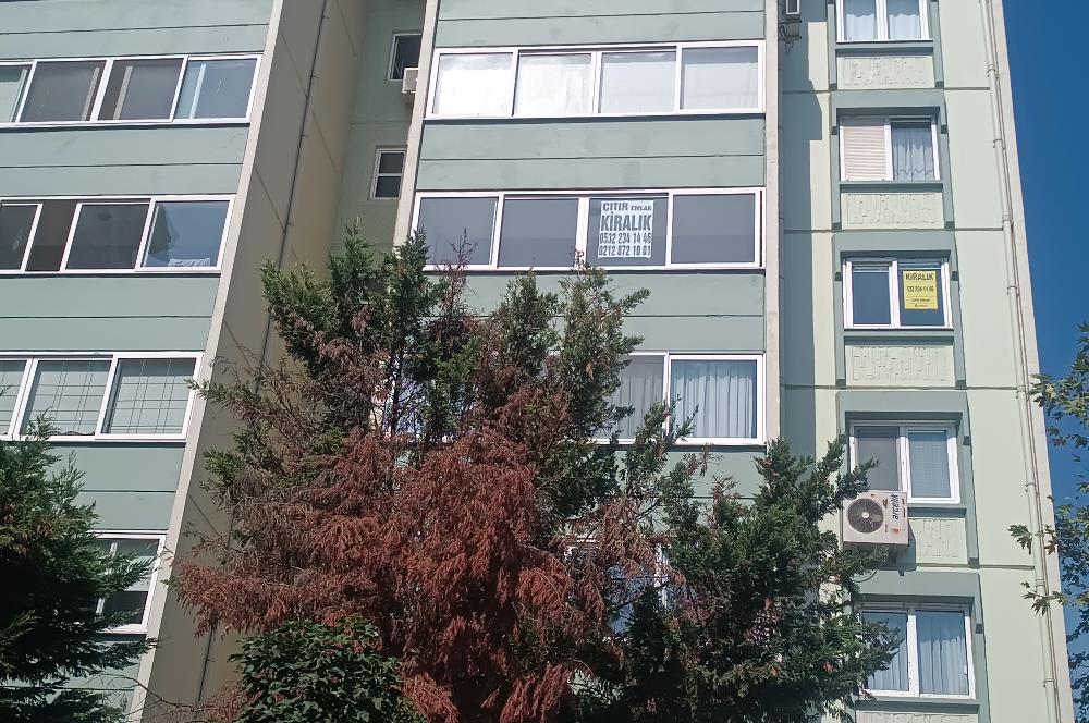 Beylikdüzü Bizimkent B2 De 3+1 kiralık daire..
