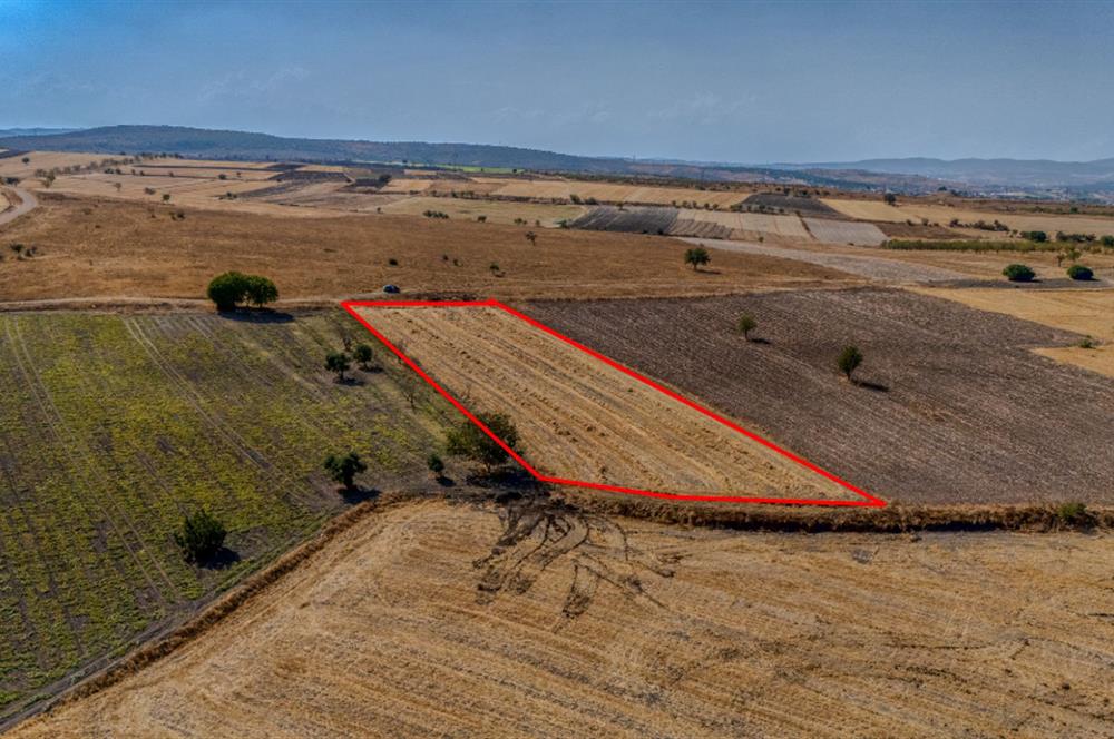  CENTURY21 LOCA'DAN PELİTKÖY'DE YOL ÜZERİNDE FIRSAT ARAZİ !