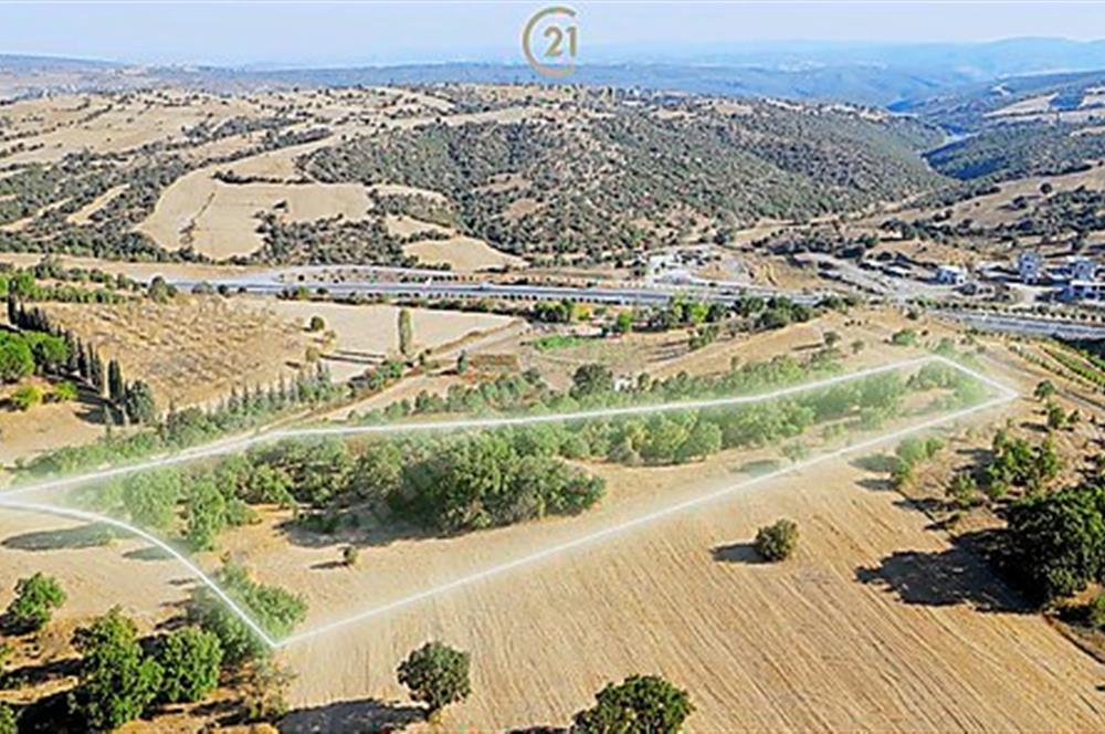 C21 Bal'dan Naipli'de 16.130 m2 Proje Geliştirilebilir Tarla