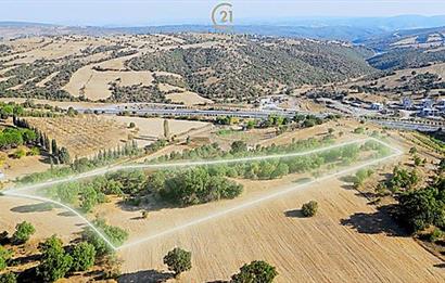 C21 Bal'dan Naipli'de 16.130 m2 Proje Geliştirilebilir Tarla