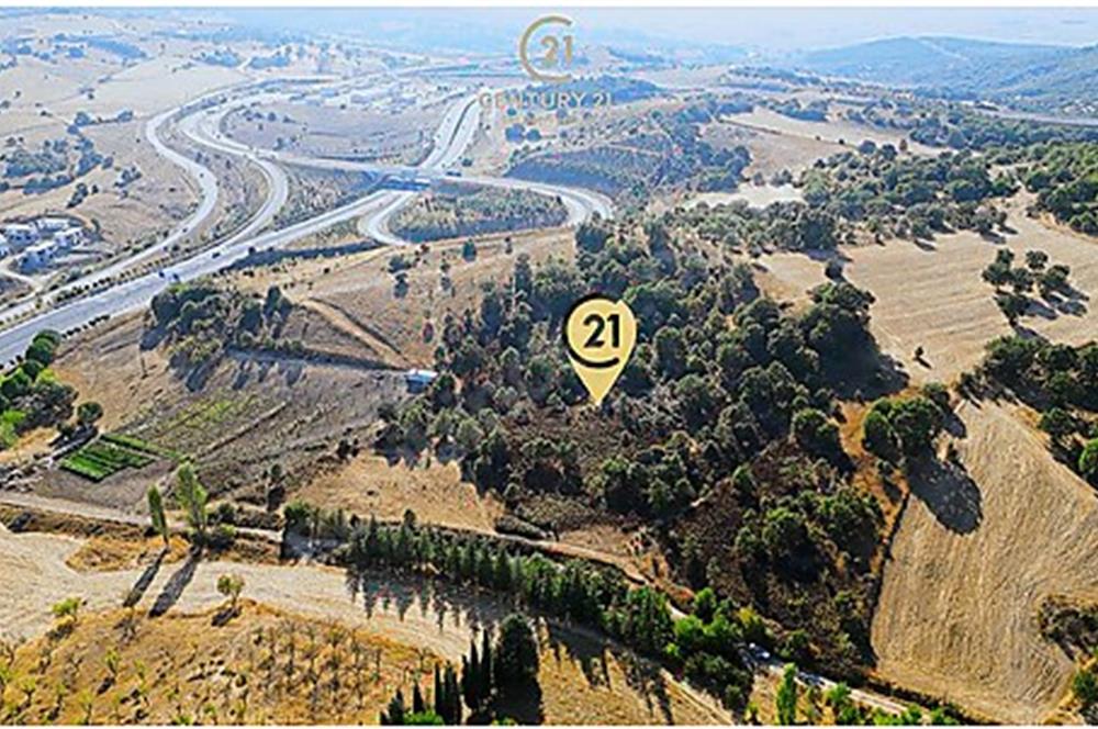 C21 Bal'dan Naipli'de 16.130 m2 Proje Geliştirilebilir Tarla