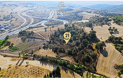 C21 Bal'dan Naipli'de 16.130 m2 Proje Geliştirilebilir Tarla