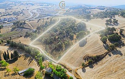 C21 Bal'dan Naipli'de 16.130 m2 Proje Geliştirilebilir Tarla