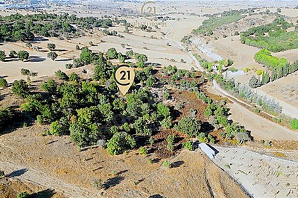 C21 Bal'dan Naipli'de 16.130 m2 Proje Geliştirilebilir Tarla