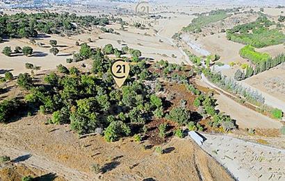 C21 Bal'dan Naipli'de 16.130 m2 Proje Geliştirilebilir Tarla