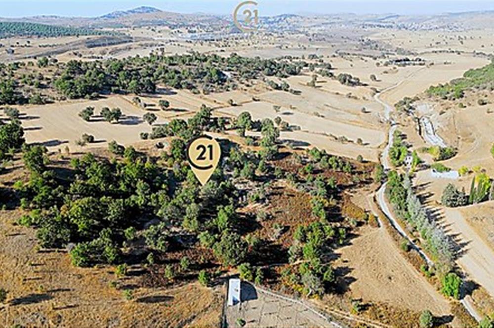 C21 Bal'dan Naipli'de 16.130 m2 Proje Geliştirilebilir Tarla