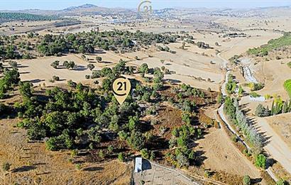 C21 Bal'dan Naipli'de 16.130 m2 Proje Geliştirilebilir Tarla
