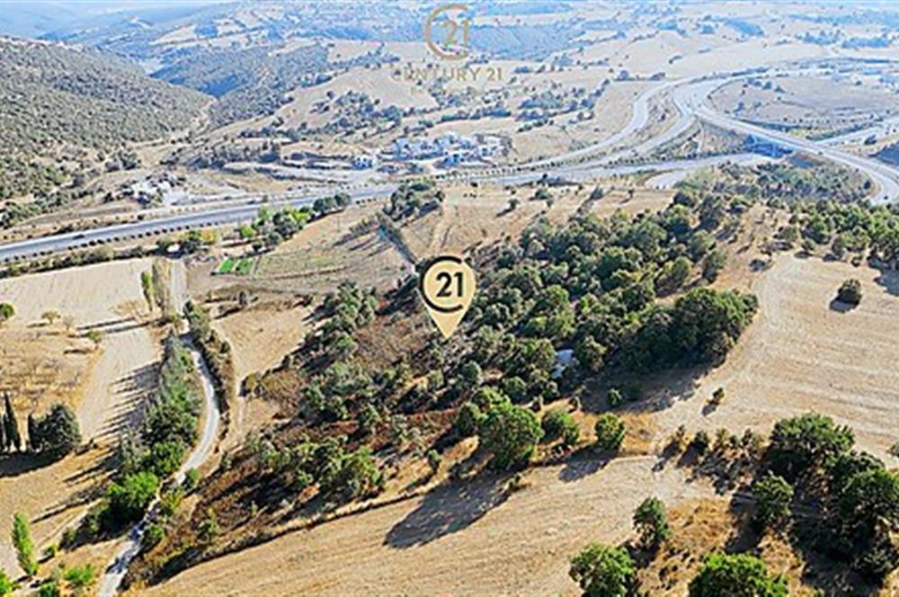 C21 Bal'dan Naipli'de 16.130 m2 Proje Geliştirilebilir Tarla