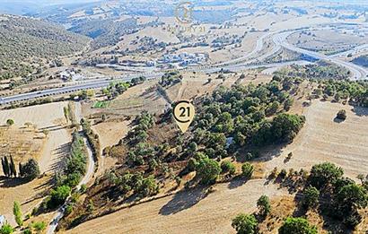 C21 Bal'dan Naipli'de 16.130 m2 Proje Geliştirilebilir Tarla
