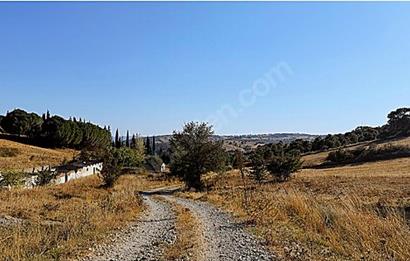C21 Bal'dan Naipli'de 16.130 m2 Proje Geliştirilebilir Tarla